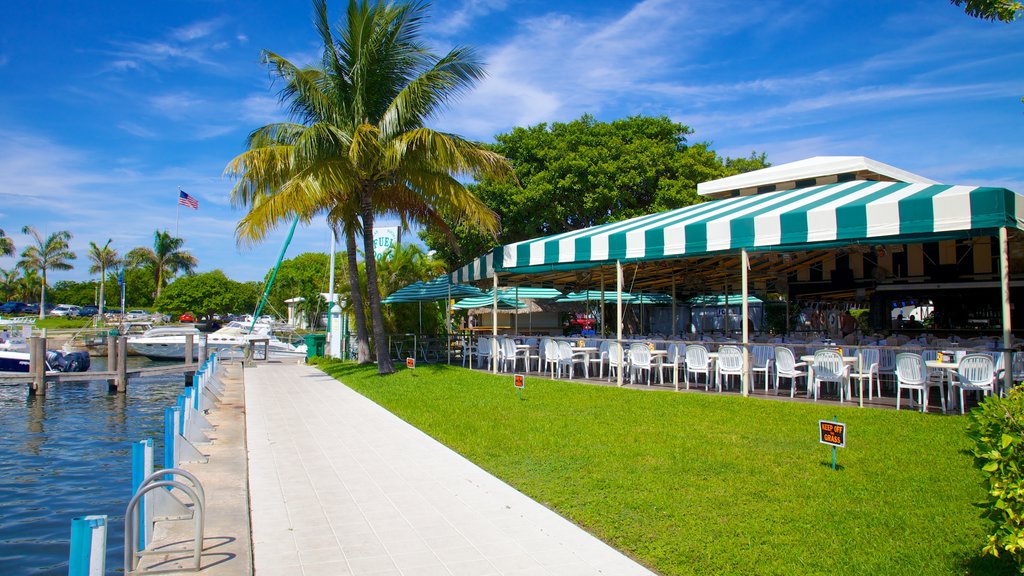 Discover Coconut Grove: Miami Hidden Tropical Gem